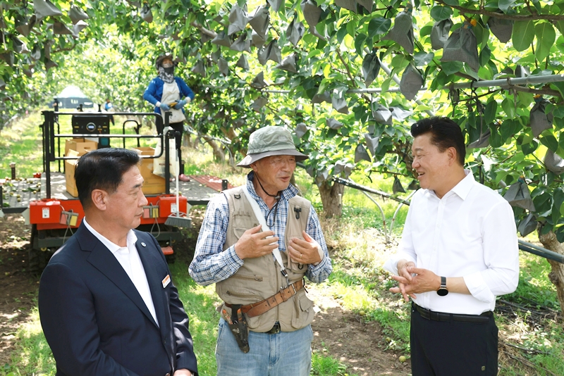 ▲ 신용한 충북지사 당선인(오른쪽)이 29일 영동군 예전농장을 방문해 샤인머스켓과 신고배 재배 현장을 점검하고 있다. ⓒ충북지사직 인수위