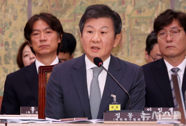 ▲ 정몽규 회장은 홍명보 감독 선임 불공정 논란 등으로 국정감사에 출석해야 했다.ⓒ뉴시스 제공