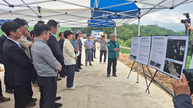 ▲ 송미령 농림축산식품부 장관이 2일 태백시 창죽동 매봉산 고랭지 배추 재배 현장을 방문해 여름철 및 추석 성수기 출하 예정 배추의 생육 상황을 점검하고 농업인들의 현장 애로사항을 청취했다. ⓒ강원특별자치도
