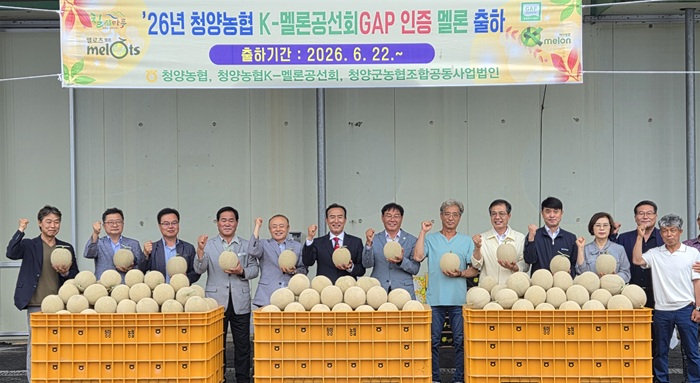 ▲ 김홍열 청양군수와 청양멜론공선출하회, 청양농협, 청양군농협조합공동사업법인 관계자들이 6일 청양군농산물산지유통센터(APC)에서 열린 '2026년 청양 멜론 출하식'에서 전국 유일의 K-멜론 S급(스페셜) 프리미엄 멜론을 선보이며 출하를 기념하고 있다.ⓒ청양군