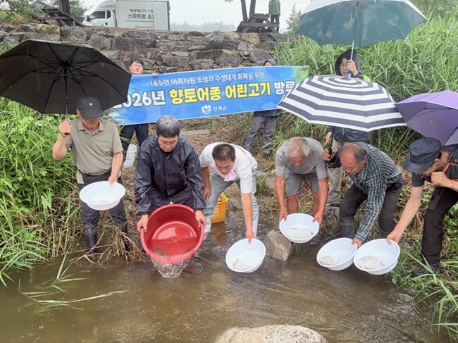▲ 인제군이 9일 한반도 고유 담수어종인 미유기 치어 약 4만2000마리를 관내 하천 일원에 방류했다. ⓒ인제군