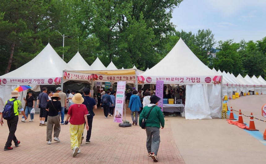 ▲ 자라섬 꽃 페스타와 연계해 운영하는 농특산물 직거래장터 ‘바로마켓’참여농가를 모집한다 ⓒ가평군 제공