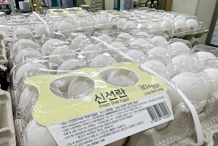 ▲ 국내에 처음 도입되는 브라질산 신선란. ⓒ한국농수산식품유통공사