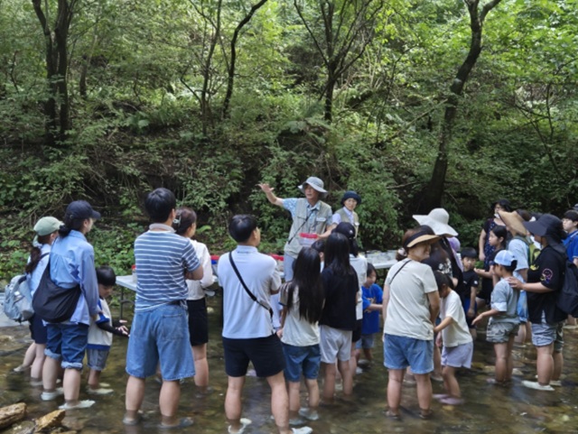 ▲ 강원특별자치도 자연환경연구공원이 여름방학을 맞아 오는 8월 5일부터 7일까지 초등학생과 학부모를 대상으로 가족이 함께 참여하는 '2026년 에코체험 행사'를 진행한다. ⓒ강원특별자치도 자연환경연구공원