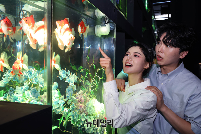 [영상] 롯데 아쿠아리움, 16일 아쿠아갤러리 리뉴얼 오픈