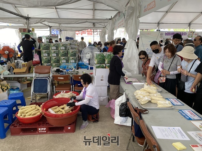 ▲ 홍천군은 지역 4개 농협이 참여하는 찰옥수수 판매장을 비롯해 농·특산물 직거래장터, 향토음식점, 문화공연, 체험행사, 가족형 물놀이시설인 '토리숲 워터파크' 등을 확대 운영한다. ⓒ이달수기자