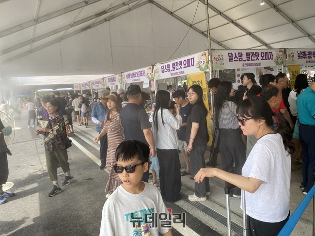 ▲ 홍천군이 제3회 홍천 찰옥수수축제를 17일 도시산림공원 토리숲에서 개막했다. 행사는 19일까지 개최되며 메인인 옥수수를 비롯해 버섯, 들기름, 단호박 등 지역특산물을 판매한다. ⓒ홍천군