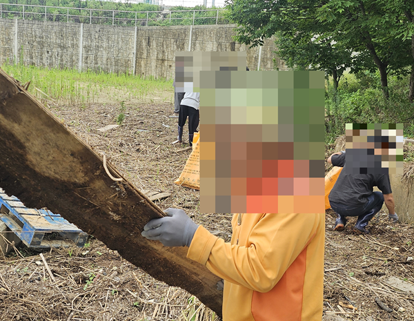▲ 복구지원 사회봉사 집행 현장 모습ⓒ청주보호관찰소