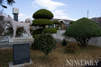 [포토] '영원한 박치기왕' 故김일 生家와 진돗개상