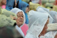 [포토] '궂은 날씨 상관없다', 육군화력시범 보러온 시민들..