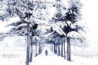 애국자의 길은 이렇게 시리다!