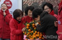 [포토]D-8, 제주 찾은 박근혜 후보