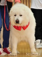 [포토]음반참여한 '상근이', 오랜만에 방송 복귀!