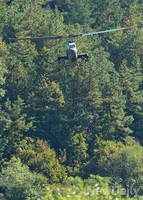 [강한육군]숲속에서 코브라처럼 나타난 코브라헬기