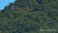 [포토] 꼭꼭 숨어라, 국산헬기 수리온