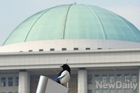 [포토]설날 반가운 손님 찾아올까? 국회에 날아든 까치 한 마리