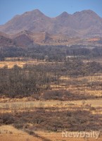 [포토]중부전선, 민둥산이 된 낙타고지