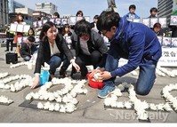 [포토]천안함 4주기 국화꽃으로 수 놓는 추모의 글씨 만드는 중,'이렇게 하면 되나?'