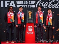 베일벗은 피파컵