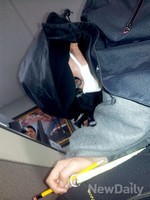 [세월호]눈물흘리는 홍가혜.. 눈물은 진짜일까?