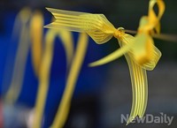 [세월호]팽목항에 걸린 노란리본