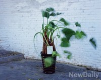 '조형-문학'텍스트 사이의 이야기..'간(間)텍스트'展 