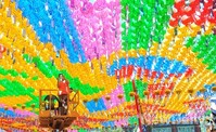 [포토]석가탄신일, '부처님 소원을 들어주세요' 염원으로 가득 찬 조계사 하늘 