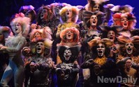 6년만에 한국에 돌아온 뮤지컬 '캣츠' 오는 8월까지 공연