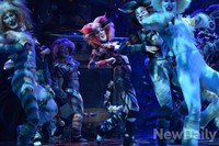 [포토]6년만에 내한공연 여는 뮤지컬 캣츠