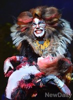 [포토]매력적인 고양이 '럼 텀 터거'의 애교