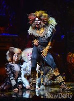 [포토]매력 고양이 '럼 텀 터거'의 매력적인 안무