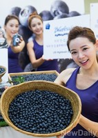 [포토]생(生) 블루베리로 건강 챙기세요