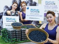 [포토]미국 하이부시 생(生) 블루베리 국내 출시