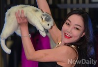 [포토]더위먹은? 낸시랭의 고양이