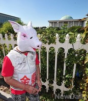 [포토] 국회앞 '돼지탈 퍼포먼스'하는 애국단체