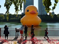 [포토] 가을햇살과 힐링의 '러버덕'