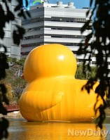 [포토] 석촌호수 러버덕의 뒤태