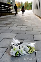 [포토] 판교 행사 담당자 투신 현장, 꽃 두 다발만이 쓸쓸히 위로