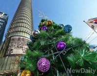 [포토] 광화문에 등장한 '애기봉트리'