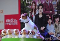 [포토] 개를 훔치는 완벽한 방법 '월리' 역의 '개리'