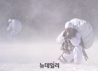 [포토] 가볍게 고공 침투하는 특전사