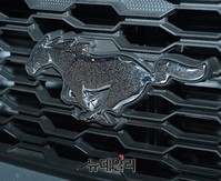 [포토] 아메리칸 포니카, 올-뉴 머스탱 국내출시