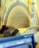 [포토] 병역 공개검증 받는 이완구 총리내정자 차남