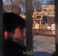 [포토] 어린이대공원 사육사 사자에 물려 사망