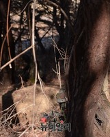 [포토] 산속에 매복한 병사