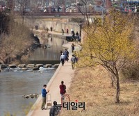 [포토] 청계천에 찾아온 봄, 미세먼지농도는 보통
