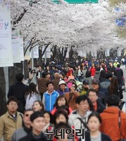 [포토] 여의도 윤중로 벛꽃길 가득메운 시민들