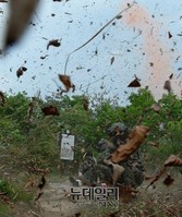 [포토] 항공구조사 