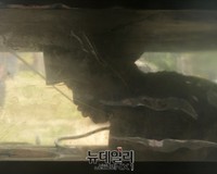 [영상] 처음 열린 한미군종(軍宗) 연합훈련 