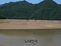 [포토] 중부권 가뭄으로 모습을 드러낸 하수내리 성황당 나무